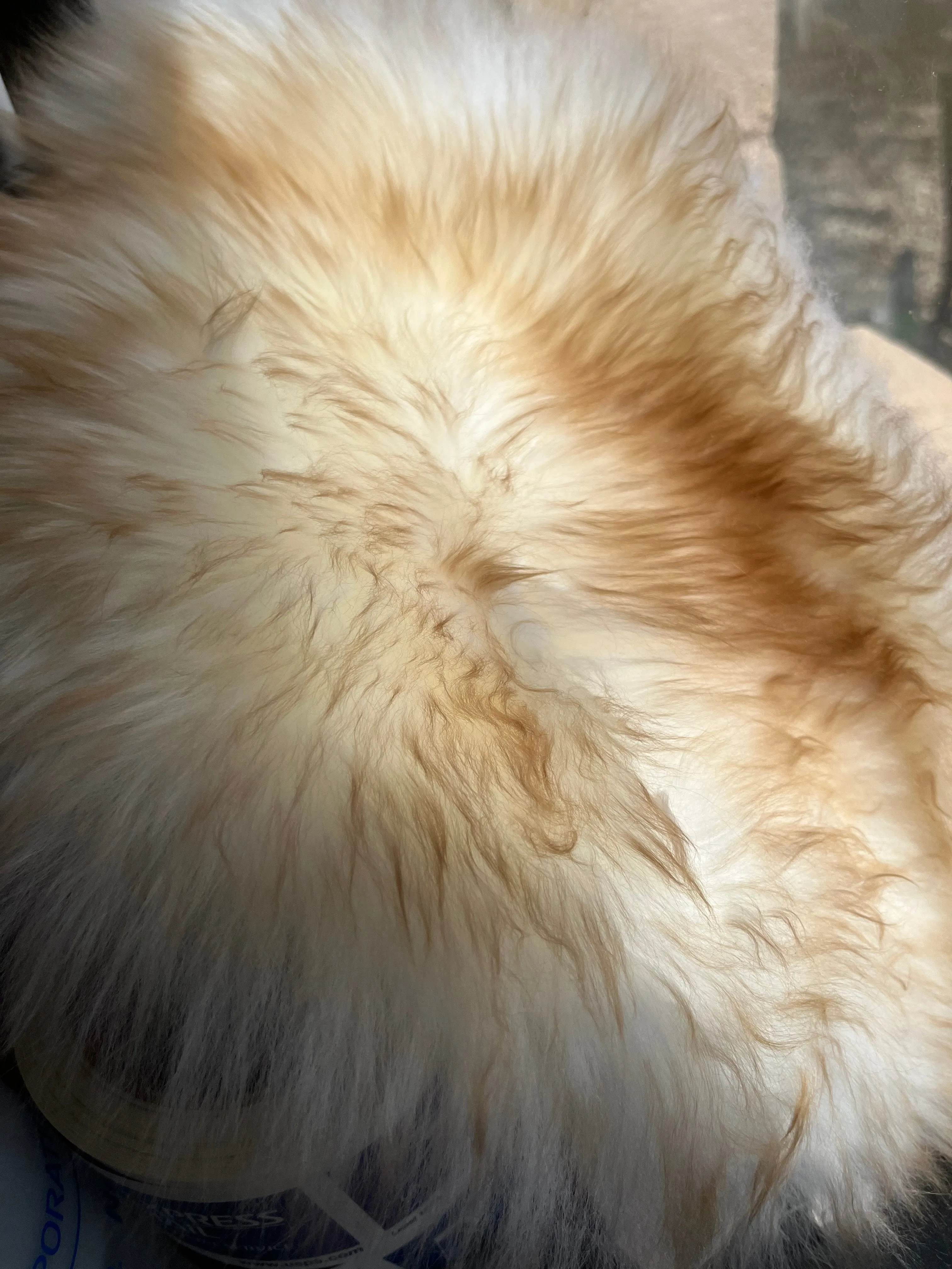 2X-Large Sheepskin Buttpad™